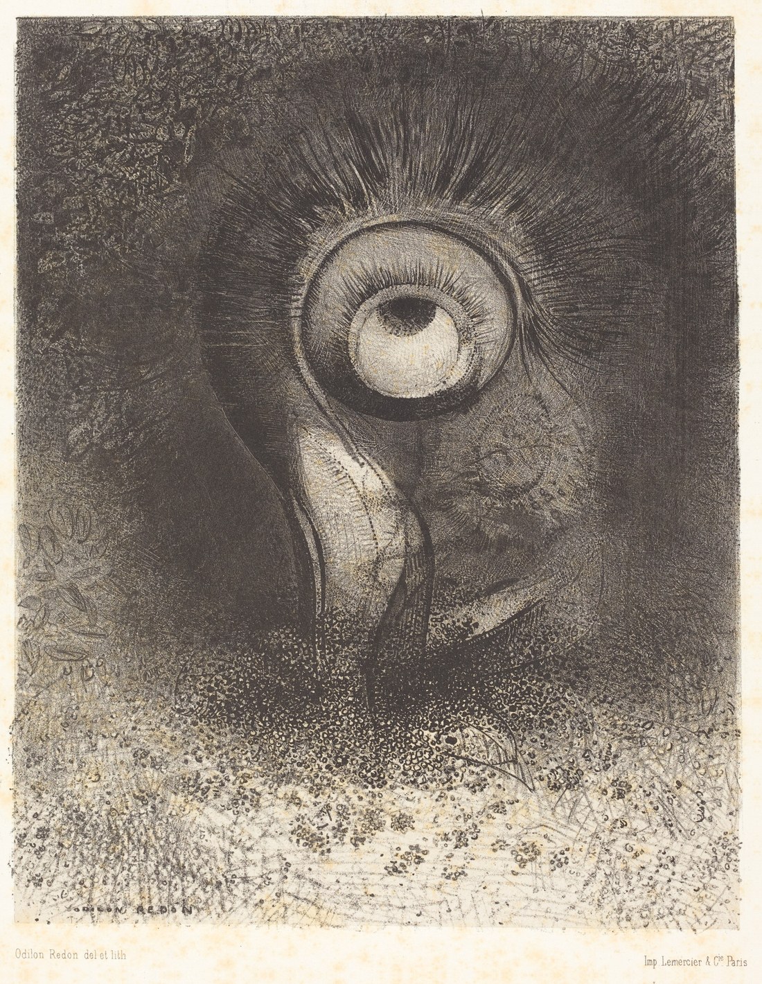 Odilon Redon, There Was Perhaps a First Vision Attempted in the Flower, 1883